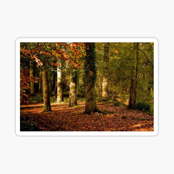 Autumn at Stover Country Park Sticker