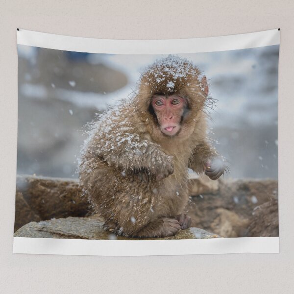Item preview, Japanese Snow Monkey VII designed and sold by PhotoArt by Joan Carroll.