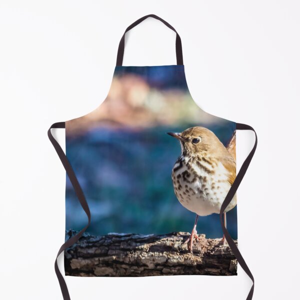 Item preview, Hermit Thrush In Winter designed and sold by ElizabethiB.
