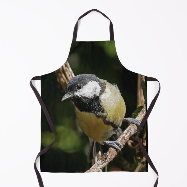 Item preview, r1433/ new finition 2021 Mésange charbonniére - 1 (c)(h) by Olao-Olavia / Okaio Créations designed and sold by o.okaïo.