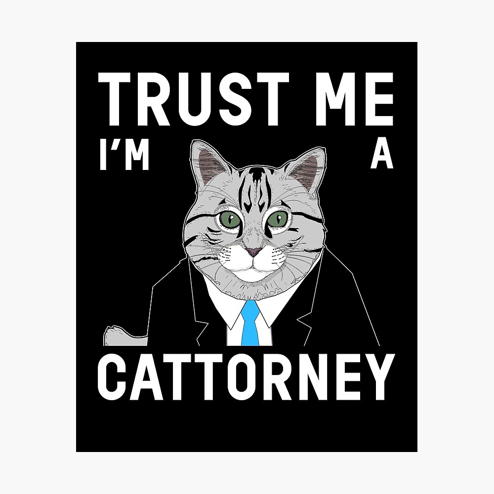 Cat Lawyer Meme Cattorney Funny Lawyer Cat Zoom Trending Cat Lawyer Meme Cattorney Funny Lawyer Cat Zoom Trending