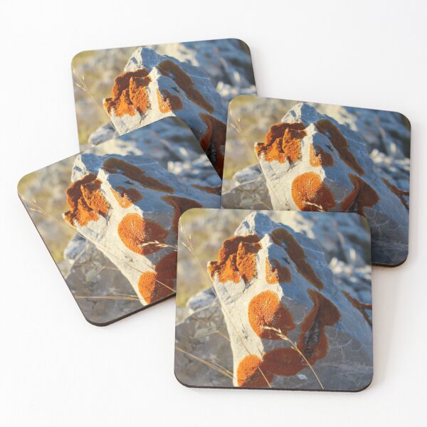 Item preview, Stone covered with colonies of orange lichens designed and sold by Mahirov Shop.