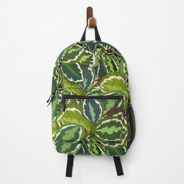 Item preview, Calathea Plant designed and sold by colorcantata.