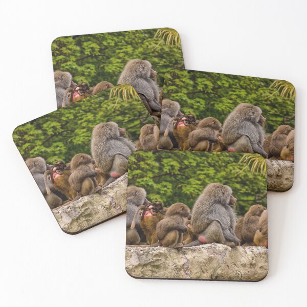 Item preview, Hamadryas Baboon (Papio hamadryas) designed and sold by Jay Lethbridge.
