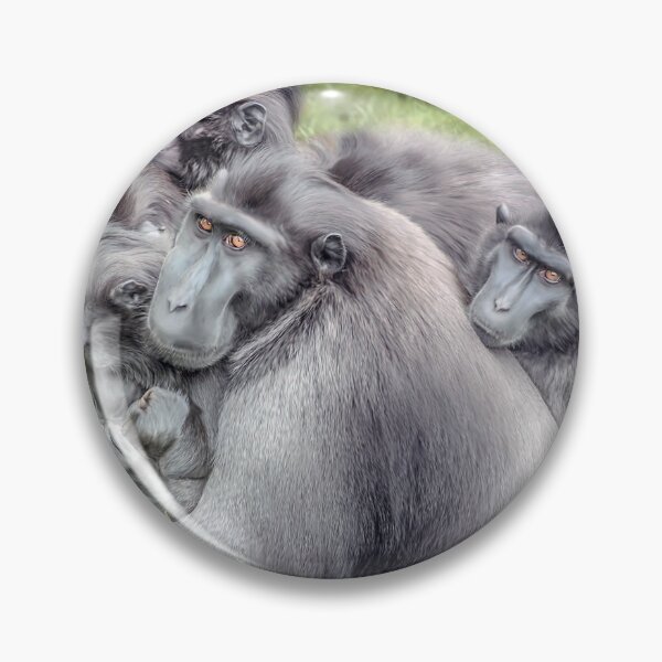 Item preview, Monkeys - Sulawesi Crested Macaque designed and sold by Jay Lethbridge.