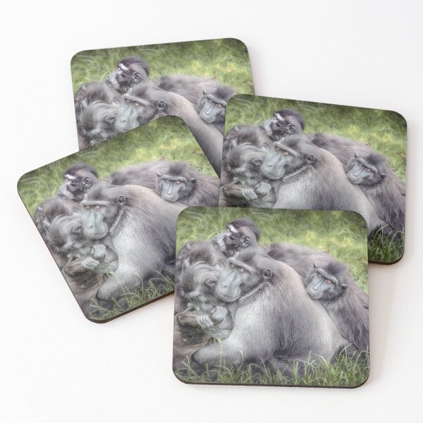 Item preview, Monkeys - Sulawesi Crested Macaque designed and sold by Jay Lethbridge.