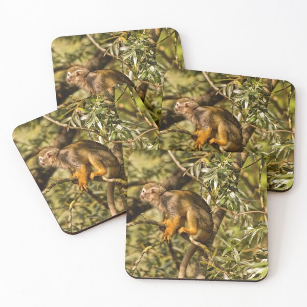 Item preview, Squirrel Monkey designed and sold by Jay Lethbridge.