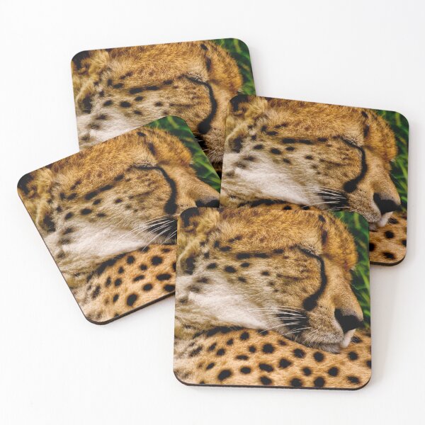 Item preview, Southern Cheetah (Acinonyx jubatus) designed and sold by Jay Lethbridge.