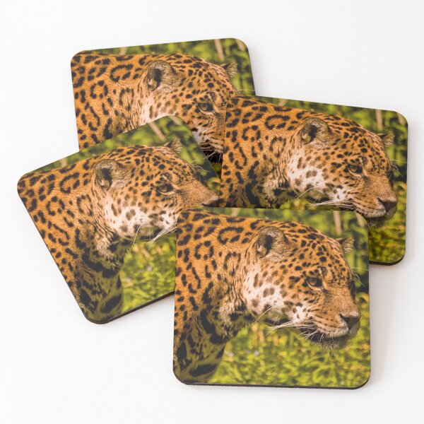 Item preview, Jaguar (panthera onca) designed and sold by Jay Lethbridge.