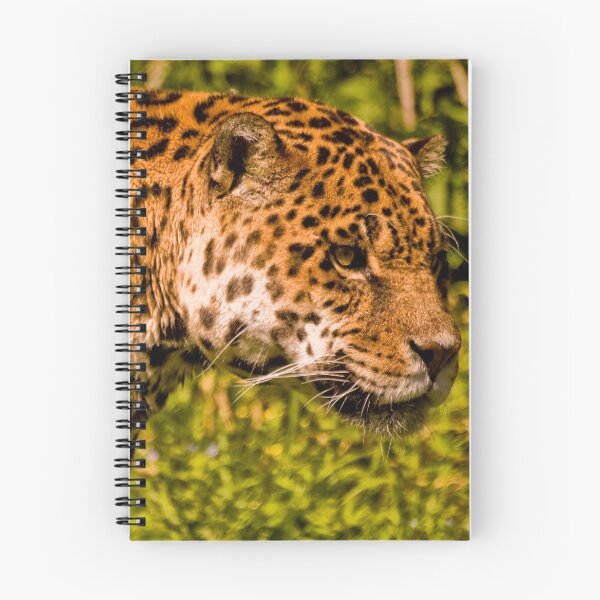 Item preview, Jaguar (panthera onca) designed and sold by Jay Lethbridge.