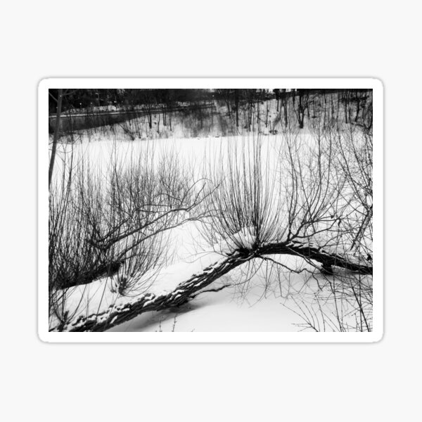 Item preview, Fallen Willows in the Rideau River designed and sold by Shulie1.