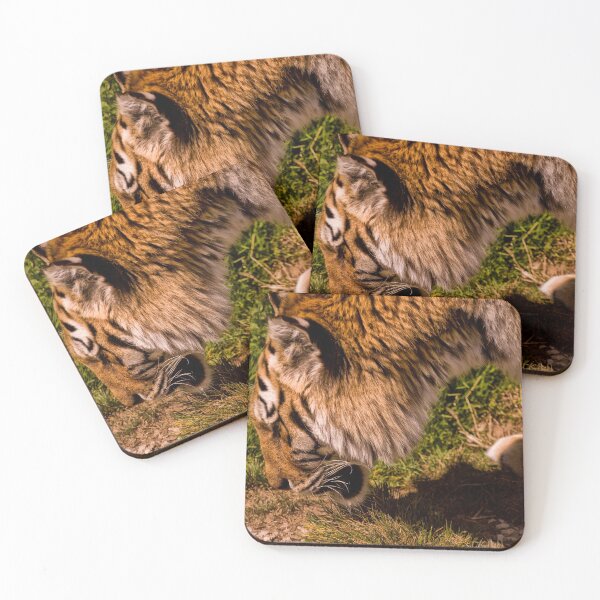 Item preview, Siberian Tiger (Panthera tigris altaica) designed and sold by Jay Lethbridge.