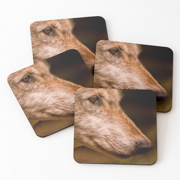 Item preview, Iberian Wolf (Canis lupus signatus) designed and sold by Jay Lethbridge.
