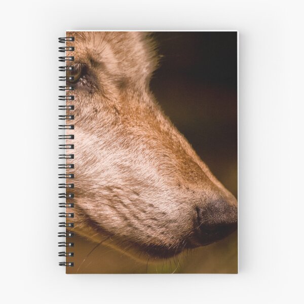 Item preview, Iberian Wolf (Canis lupus signatus) designed and sold by Jay Lethbridge.