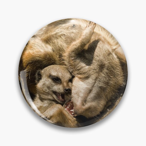 Item preview, Meerkats Play Time designed and sold by Jay Lethbridge.