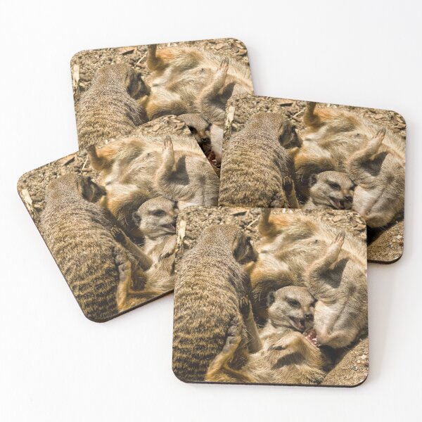 Item preview, Meerkats Play Time designed and sold by Jay Lethbridge.