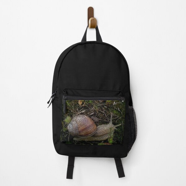 Item preview, "Caracol" designed and sold by HalynaMur.