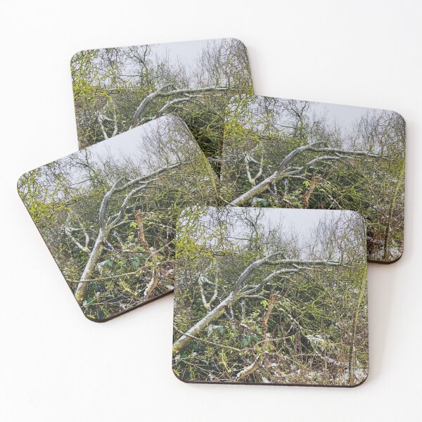 Aperçu de l'œuvre arbres forestiers créée et vendue par ButterflyGarden.