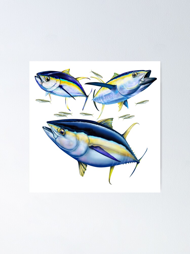 3 Yellowfin Tunas Poster for Sale by Mary Tracy