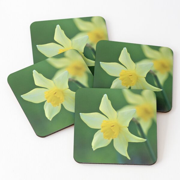 Item preview, Daffodil at the park designed and sold by LaliCreations.