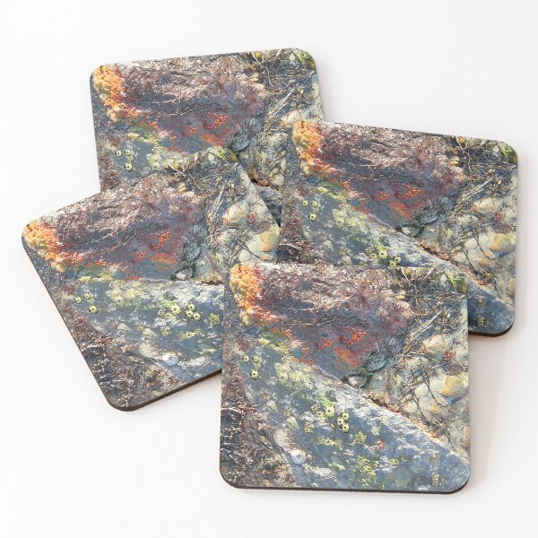 Item preview, barnacle rock designed and sold by sirenas.