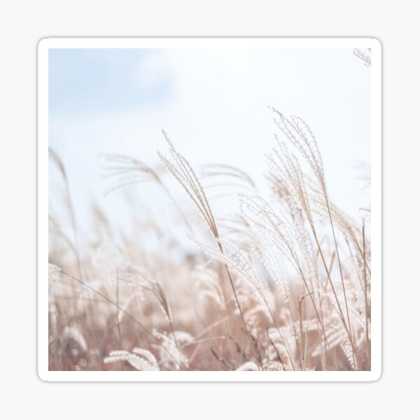 Cute Golden Grass Image Sticker