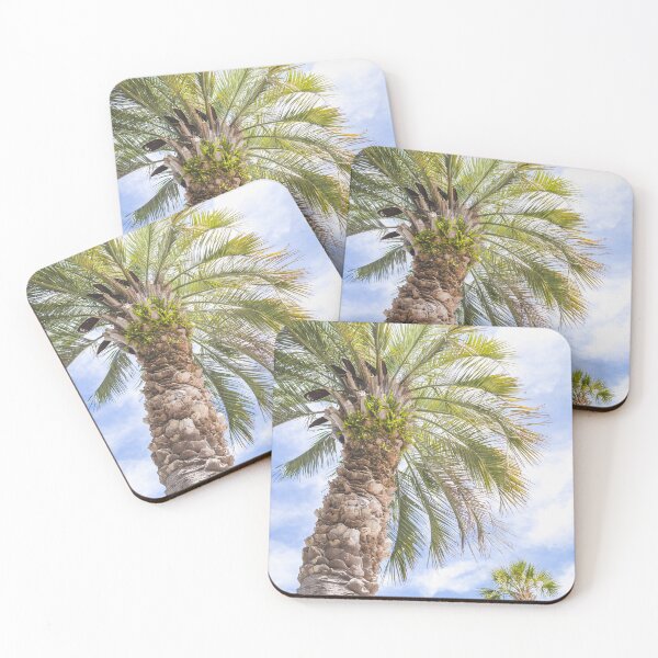 Item preview, Sabal Palmetto I designed and sold by ErikBPhoto.