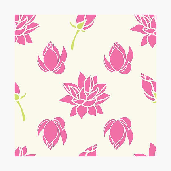 Pink Lotus Flowers In Bloom Photographic Print
