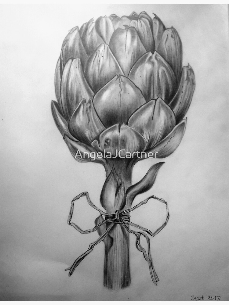 "Artichoke, black and white pencil drawing" Sticker for Sale by