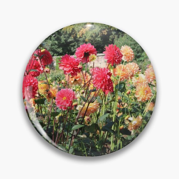 Item preview, Red and Yellow Dahlias designed and sold by Michaela Perryman.