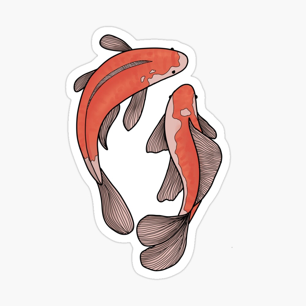 Japanese Koi Fish on a Blue. Realistic Detailed Pencil Drawing, Sketch  Stock Illustration - Illustration of single, asia: 211077060