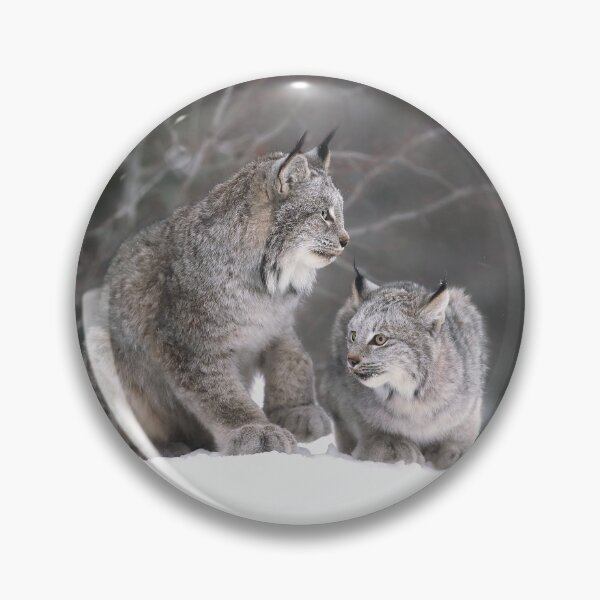 Artikelvorschau, Kanada-Luchs-Weibchen mit Kätzchen entworfen und verkauft von mlorenz.