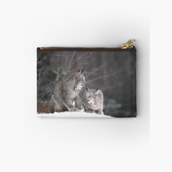 Item preview, Canada Lynx Female With Kitten designed and sold by mlorenz.