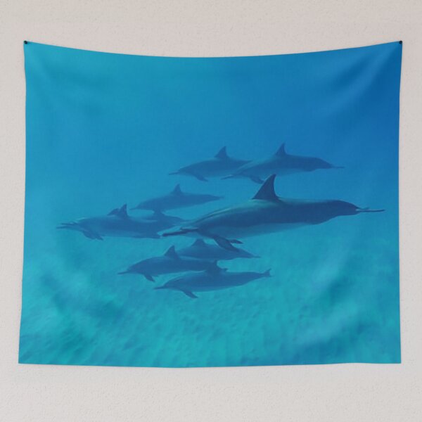Item preview, School of Dolphins, Ocean photo designed and sold by Nostrathomas66.