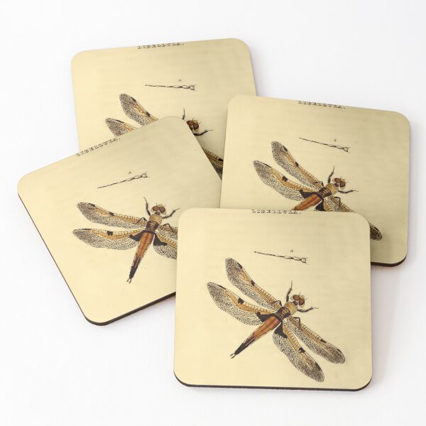 Item preview, Vintage Dragonfly Illustration from 1821 designed and sold by VintageAndy.