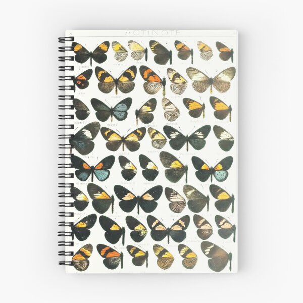 Item preview, Vintage Butterflies Illustration from 1846 designed and sold by VintageAndy.
