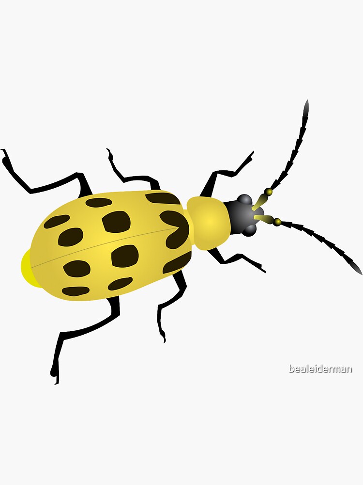 "Cucumber Beetle" Sticker by bealeiderman Redbubble
