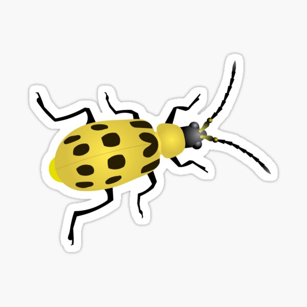 Cucumber Beetle Sticker