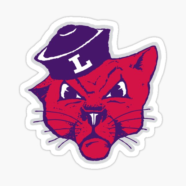Item preview, Linfield designed and sold by kendylmccartney.