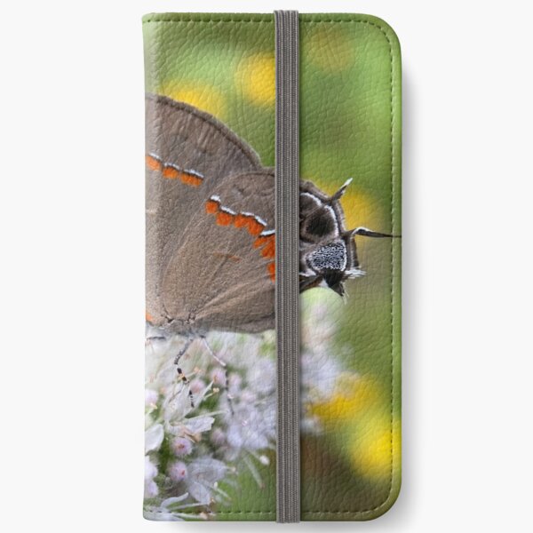 Hairstreak iPhone Wallet