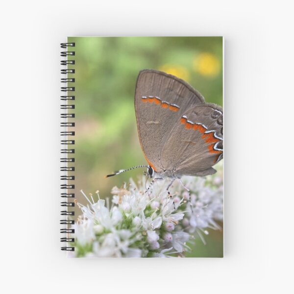 Hairstreak Spiral Notebook