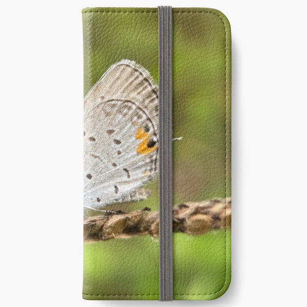 Butterfly iPhone Wallet