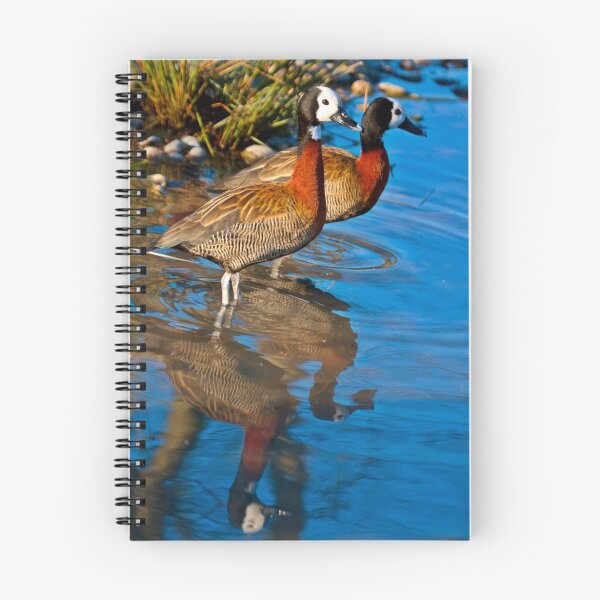 Item preview, So, do you come here often? designed and sold by Martyn Franklin.