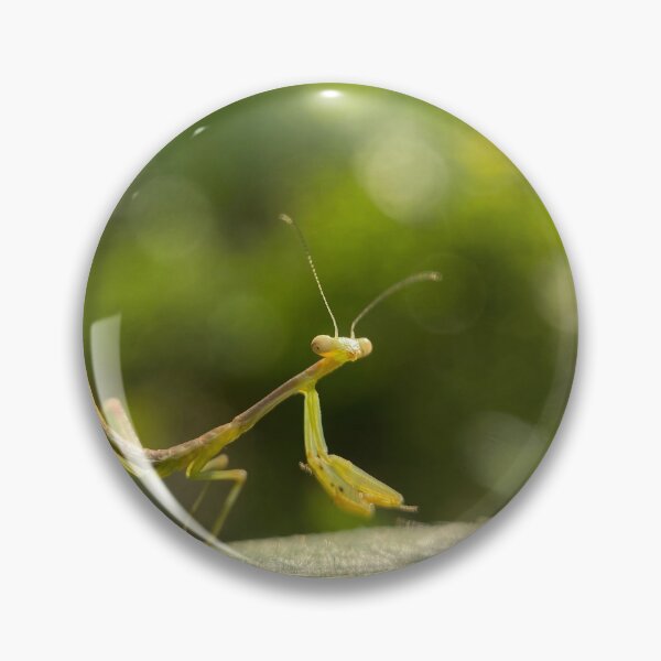Item preview, Mantis baby designed and sold by bealeiderman.