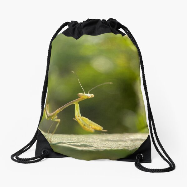 Mantis baby Drawstring Bag