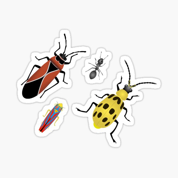 Bugs Sticker