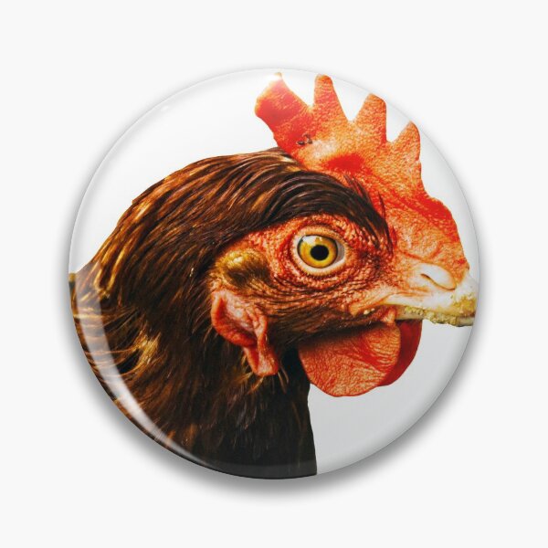 Item preview, Chicken head photo designed and sold by Nostrathomas66.
