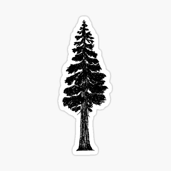 Pine Tree Temporary Fake Tattoo Sticker (Set of 2) - OhMyTat - Shop OhMyTat  Temporary Tattoos - Pinkoi