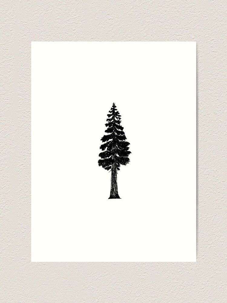 BRÜCIUS #TATTOO #SF #SanFrancisco #brucius #engraving #etching #dotwork  #linework #blackwork #redwood #tree | Tatoo, Tatuagens