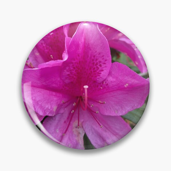 Item preview, Single Purple Flower designed and sold by Sinemathk.